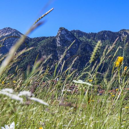 Ferienwohnung Gipfelglueck Oberammergau Dış mekan fotoğraf