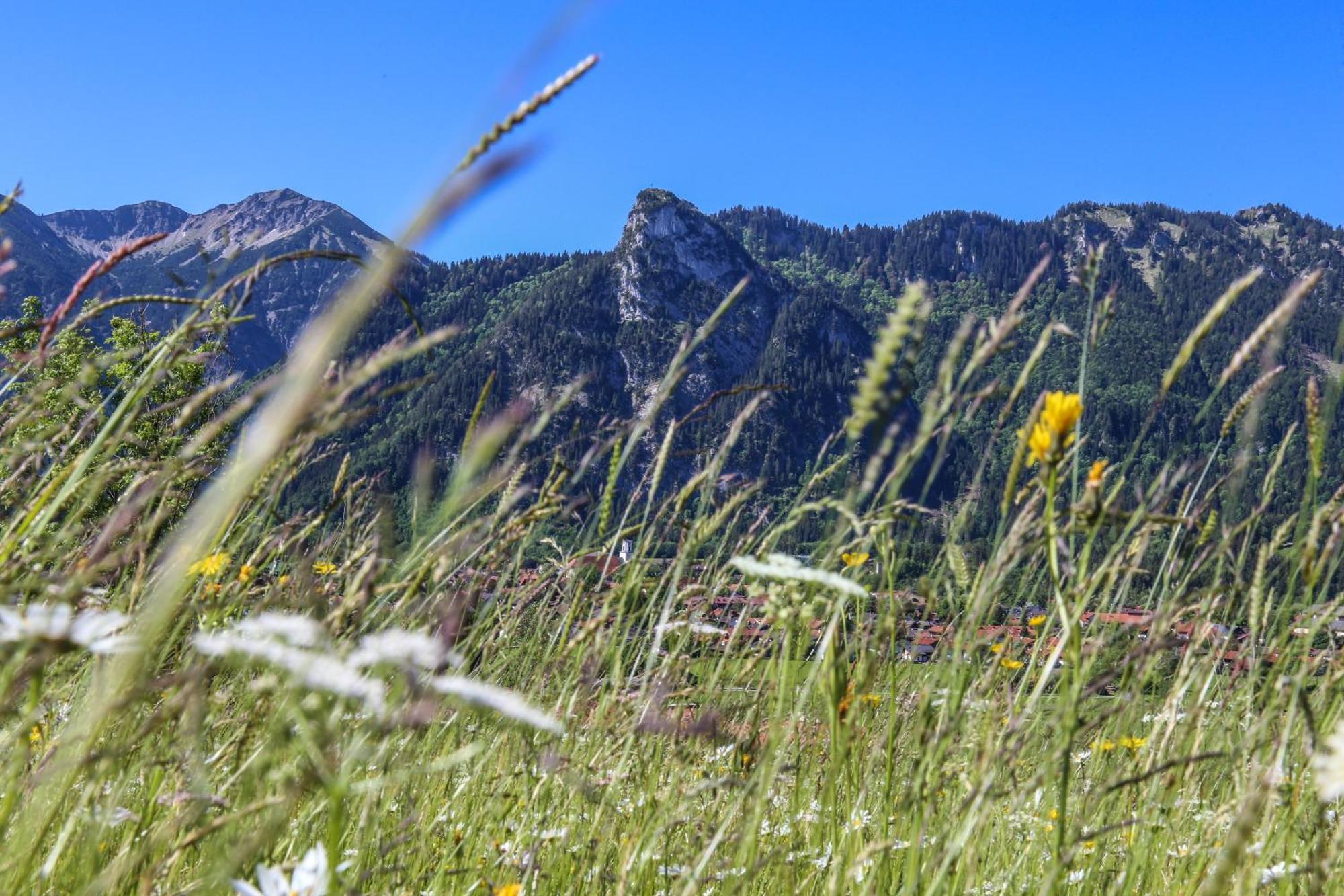 Ferienwohnung Gipfelglueck Oberammergau Dış mekan fotoğraf